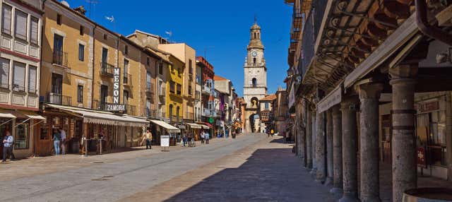 Visita guiada por Toro + Bodega tradicional