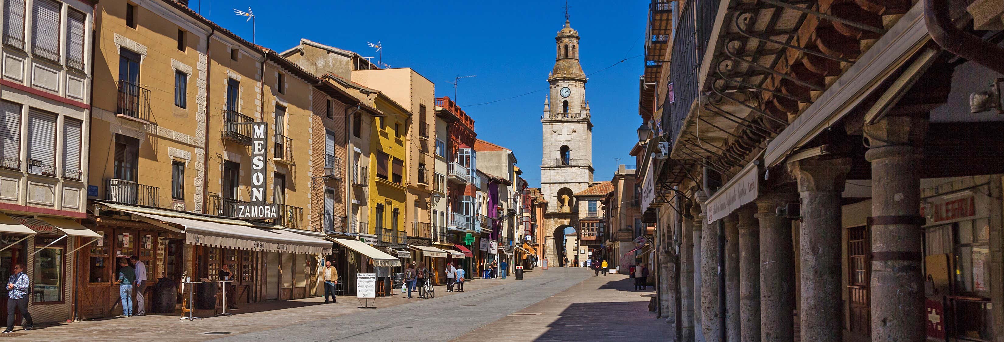 Visitas guiadas y free tours en Toro