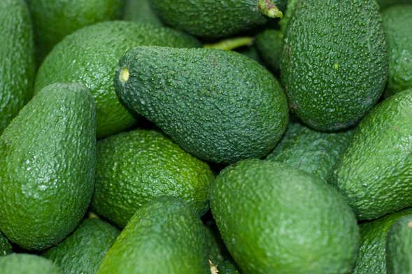 Axarquia Tropical Fruit Trip