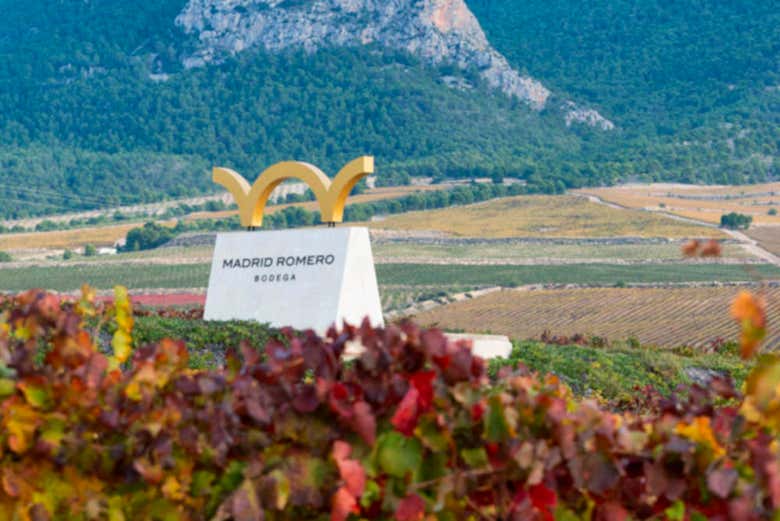 Viñas de Madrid Romero