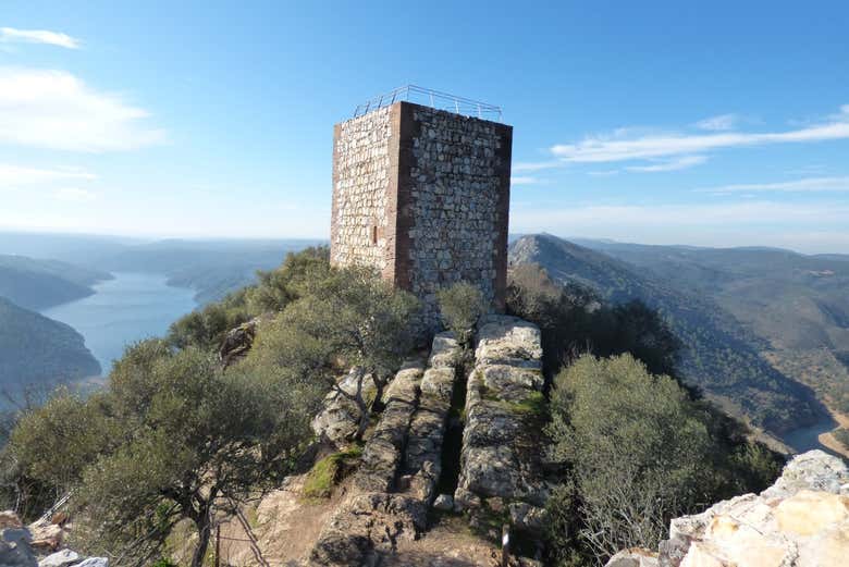 Torre de Vigilância
