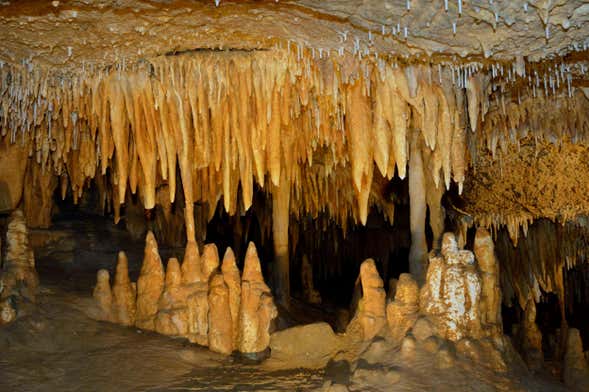 Excursion à la grotte El Soplao