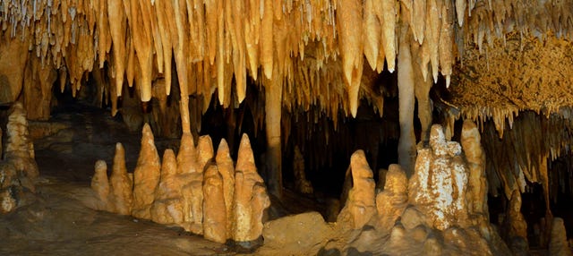 Excursión a la Cueva El Soplao