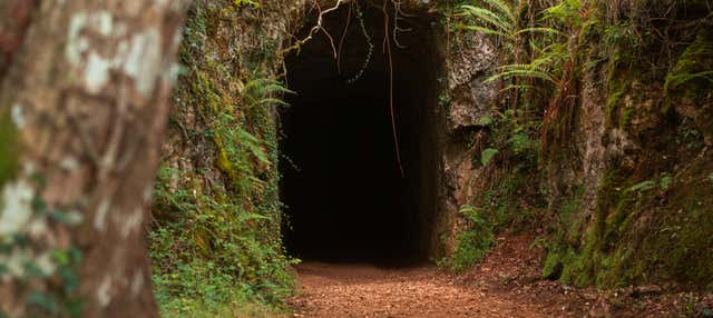 Excursión a las minas de Udias