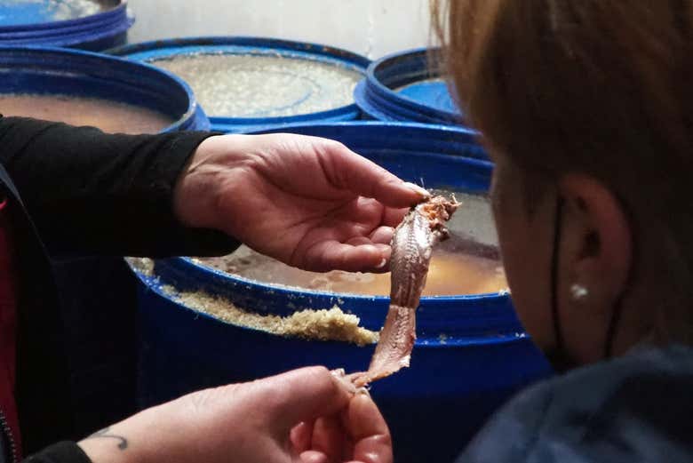 Anchoas típicas de Cantabria