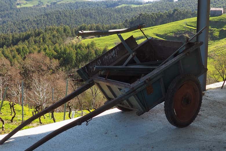 I paesaggi che vedremo