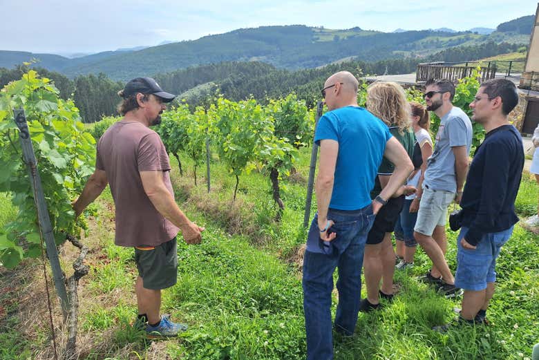 Visitez les vignobles