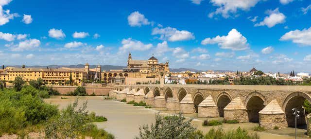 Cordoba Day Trip