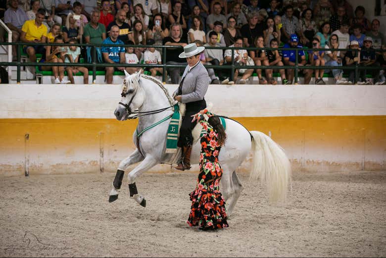 Este espetáculo equestre vai deixá-lo sem palavras