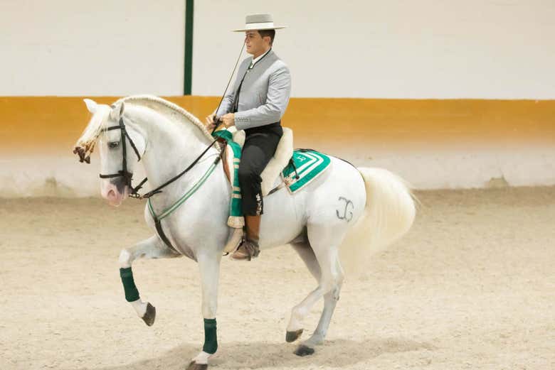 El Ranchito's dressage shows are a local tradition