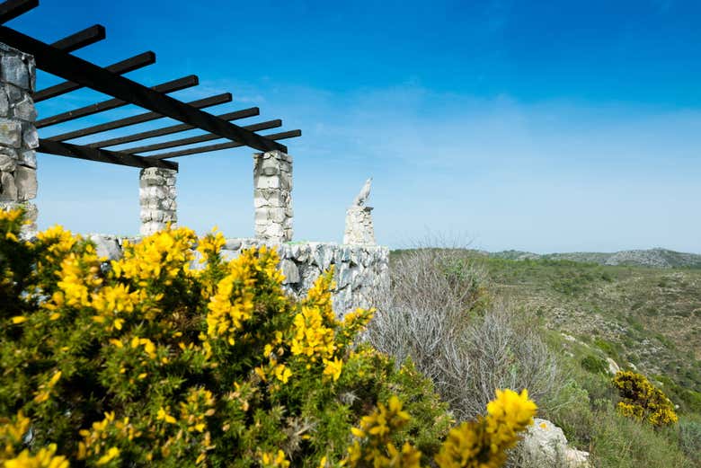 Mirador de la Cañada del Lobo