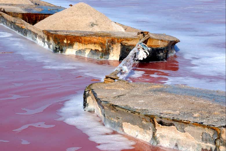 Alla scoperta delle saline di Torrevieja