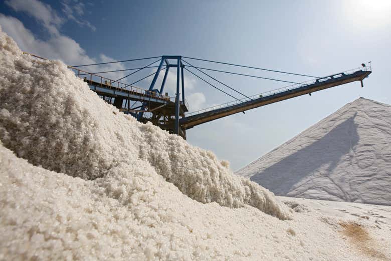 Le saline