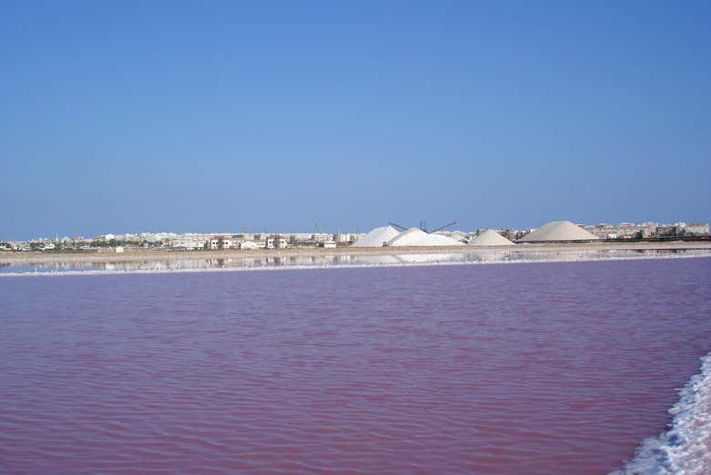 Panoramica delle saline di Torrevieja