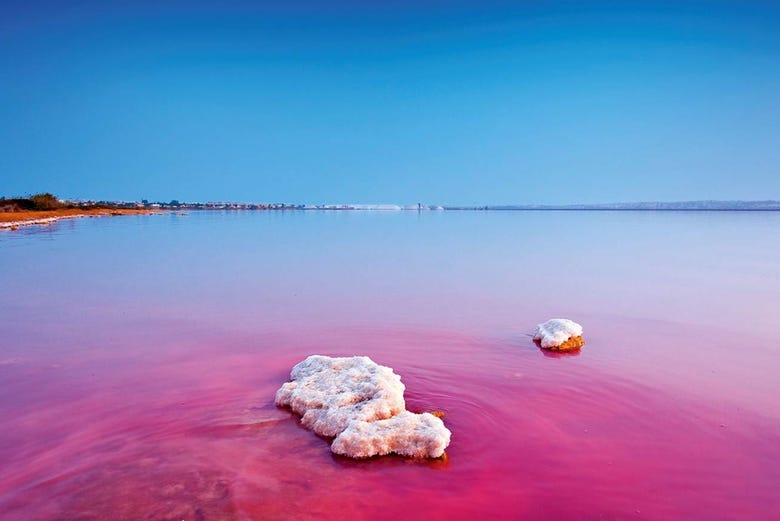 Torrevieja salt lake