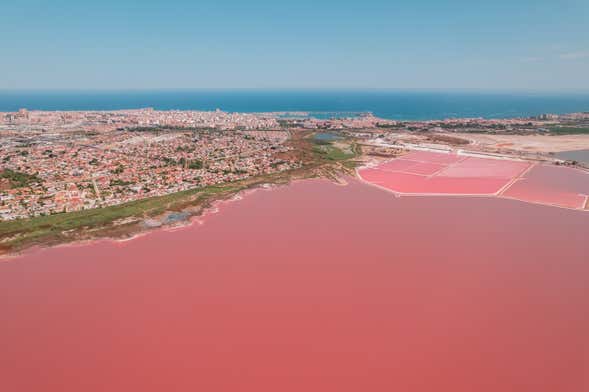 Torrevieja Salt Flats Tour