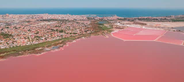 Visita guiada por las salinas de Torrevieja