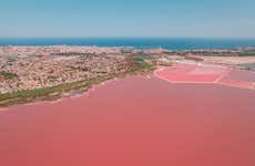 Torrevieja Salt Flats Tour