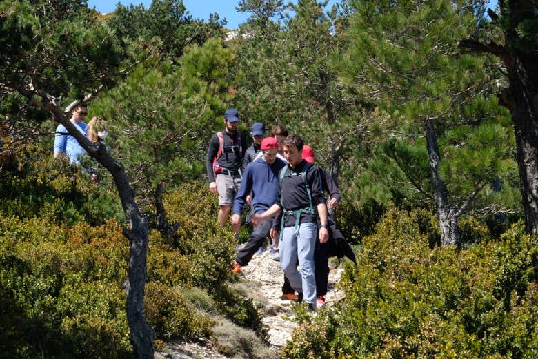 Sui sentieri del monte