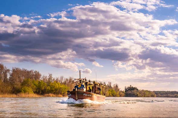 Paseo en barco por el Ebro