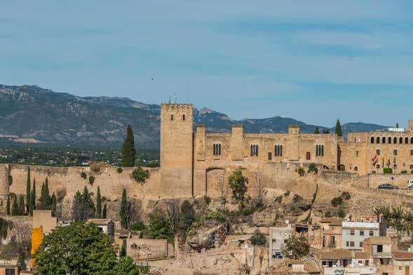 Tour privado por Tortosa ¡Tú eliges!