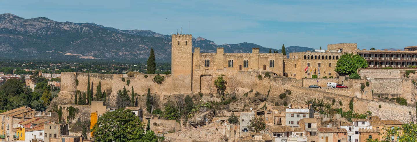 Visitas guiadas y free tours en Tortosa