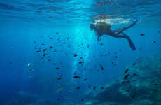Curso de buceo PADI Open Water