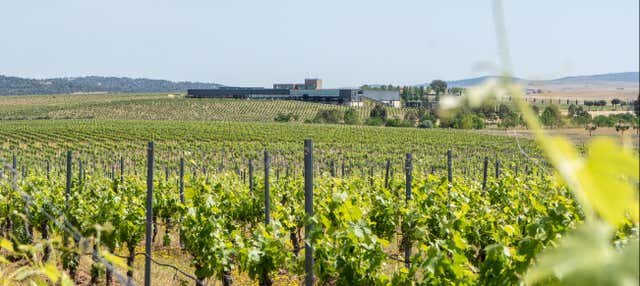 Visita a las bodegas Habla