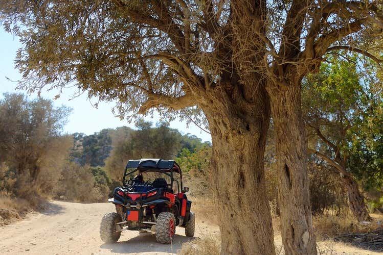 Durante el tour en buggy