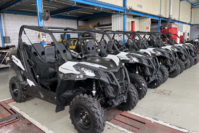 Buggies durante la actividad