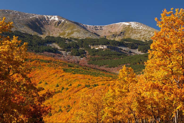 Tendremos vistas panorámicas al Moncayo