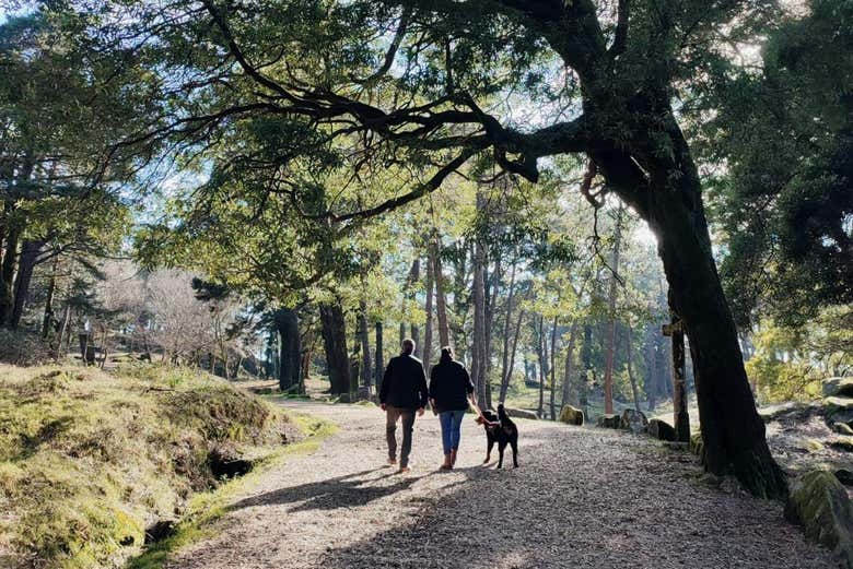 Una pareja y su perro recorriendo el Monte Aloia
