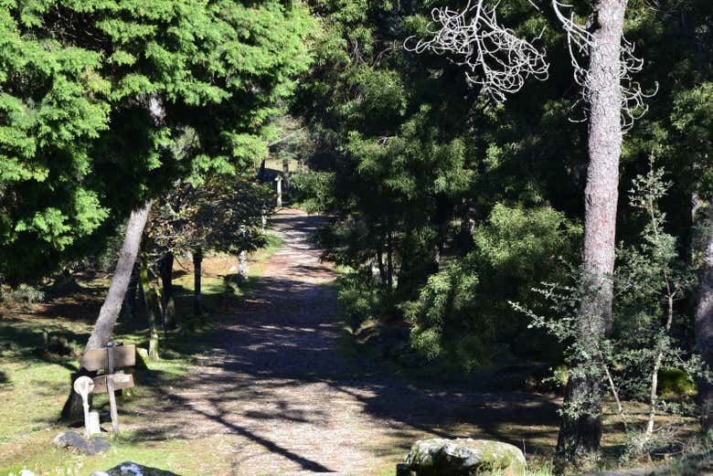 Senderos del Monte Aloia