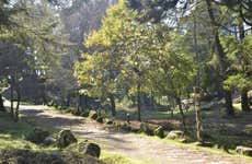 Tour por los miradores del Monte Aloia
