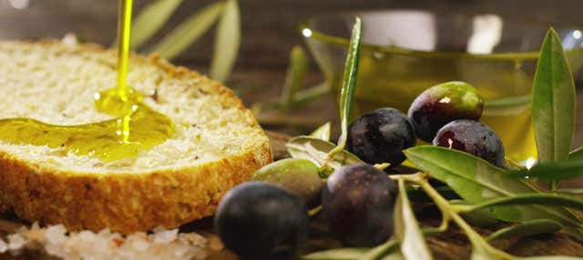 Cata de aceites de Jaén