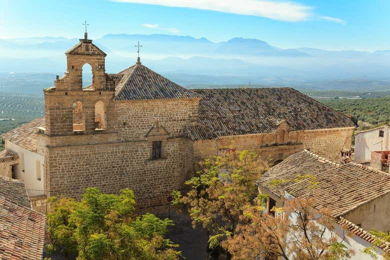 Conociendo el secreto del aceite de oliva