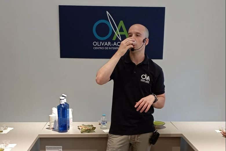 Uncover fascinating insights into olive oil cultivation