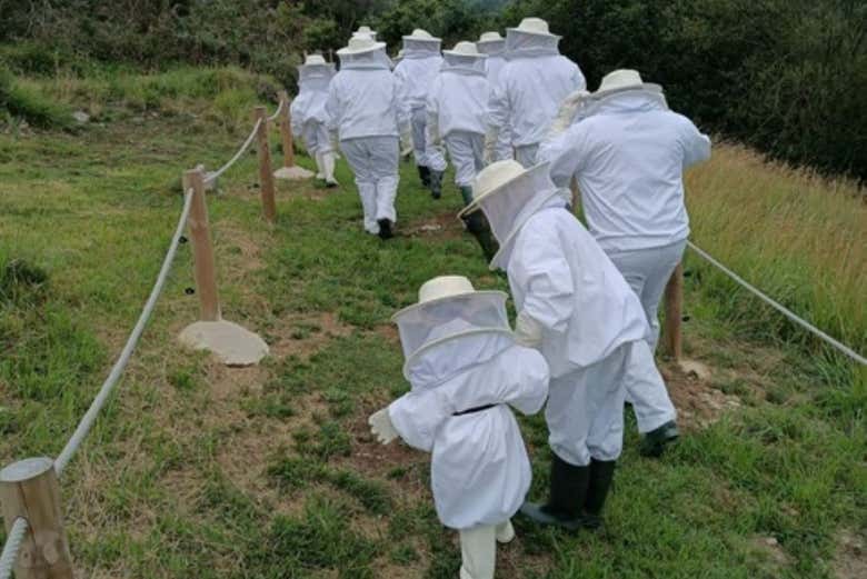 Grupo en la visita guiada en la granja de abejas en Udías