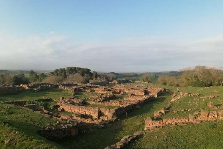 Ville ibérique d'Ullastret