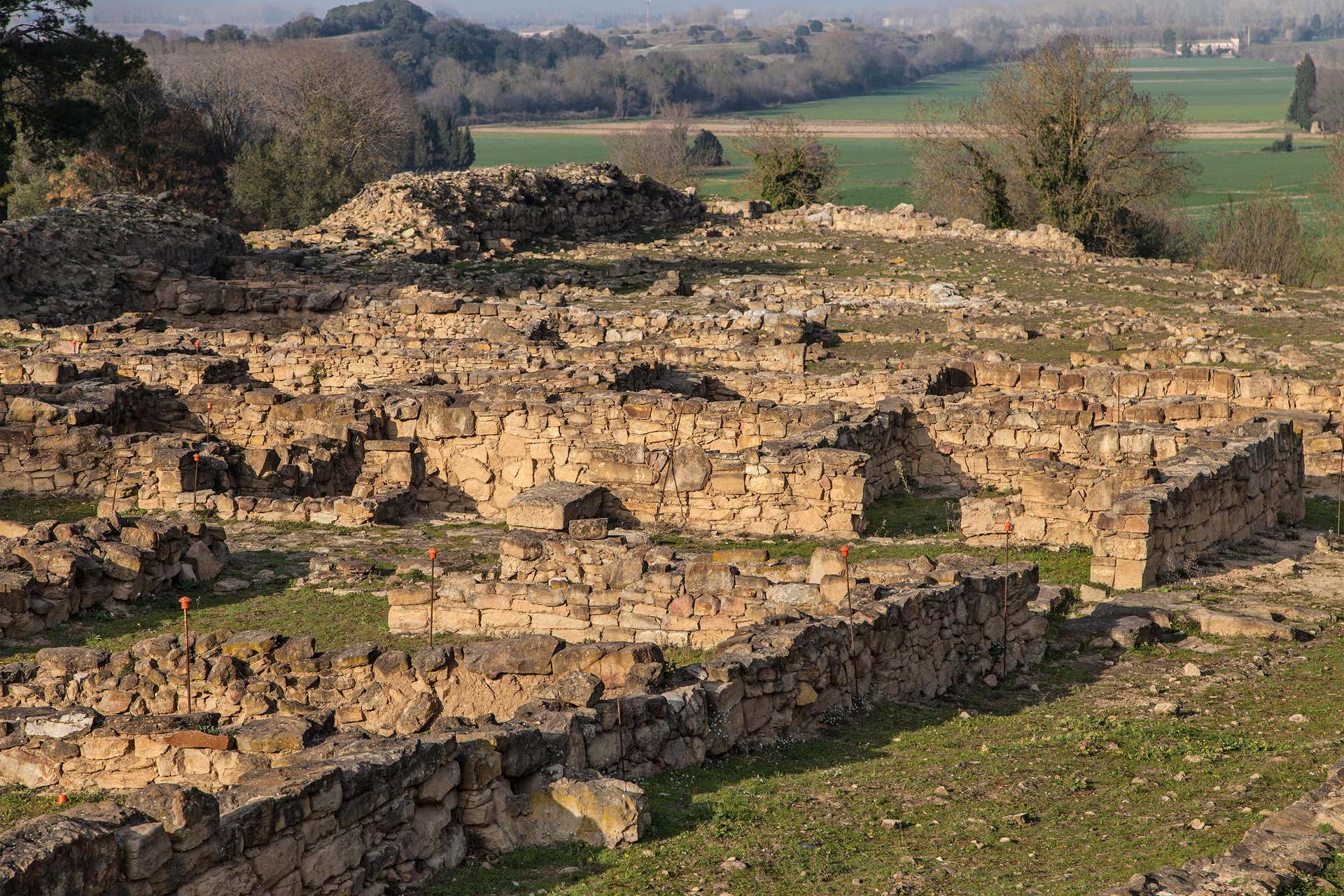 Visite guidée à Ullastret et au Musée d'archéologie