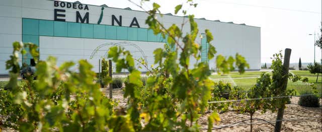 Gastronomía y enoturismo en Valbuena de Duero
