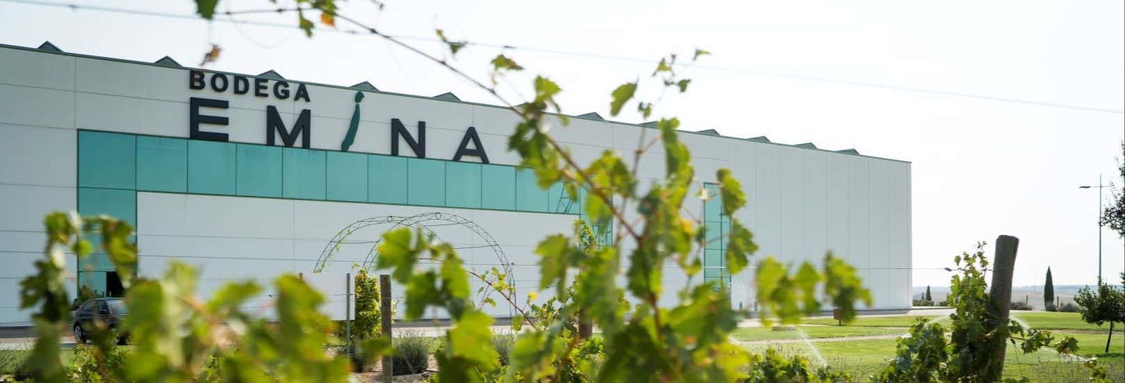 Gastronomía y enoturismo en Valbuena de Duero