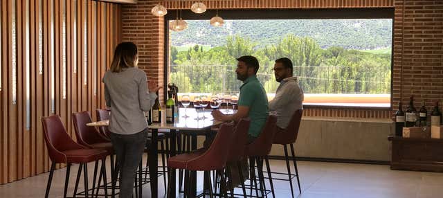 Cata de vino, queso y aceite en la Bodega Matarromera