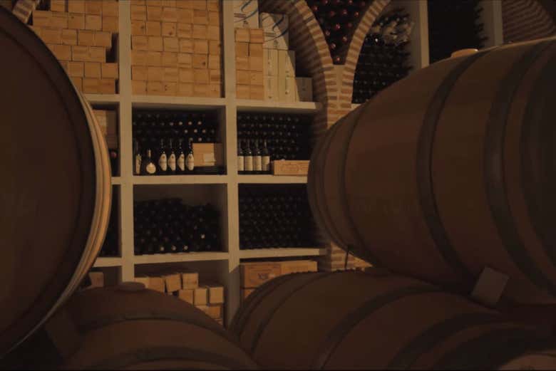 Découvrez les meilleurs vins de la région