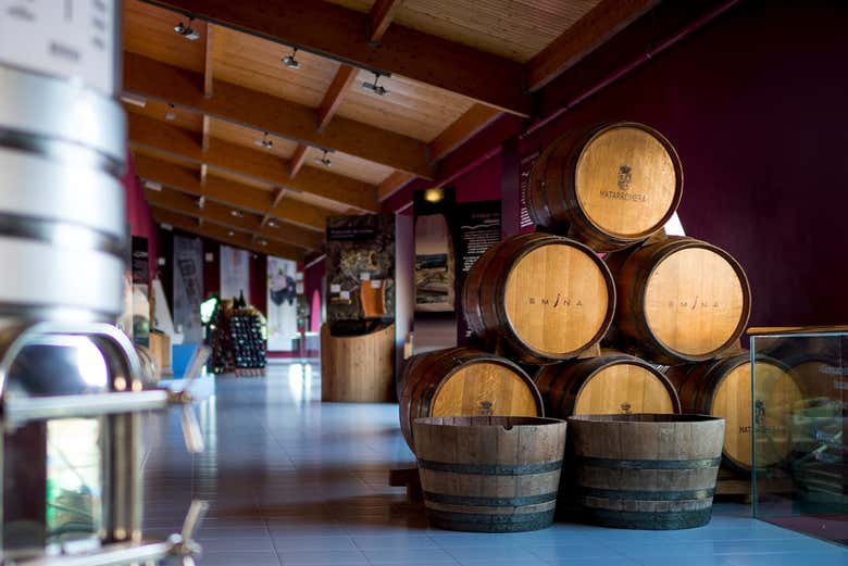 Découvrez le domaine Emina Ribera
