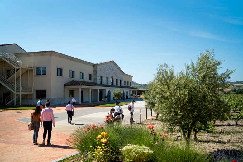 Bodega Emina
