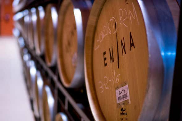 Visita a la Bodega Emina Ribera