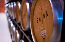 Visite du domaine Emina Ribera