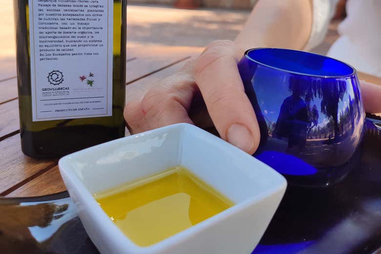 Catando el aceite de oliva
