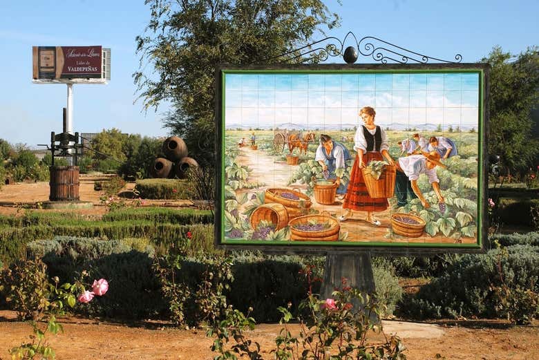 Jardim das vinícolas Los Llanos